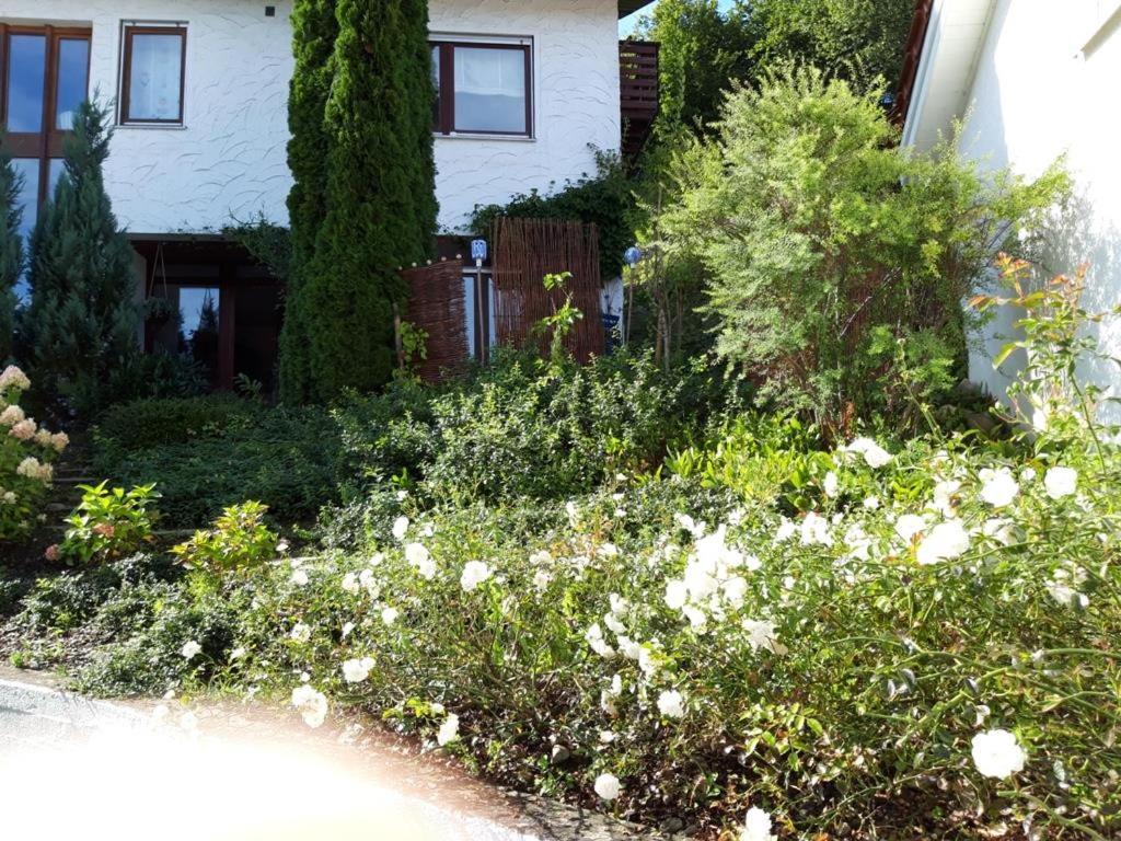 Ferienwohnung Rosa Muller Wangen im Allgaeu Luaran gambar