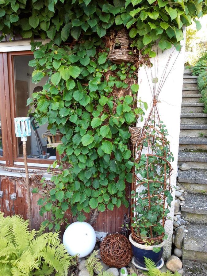 Ferienwohnung Rosa Muller Wangen im Allgaeu Luaran gambar